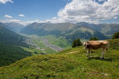Livigno